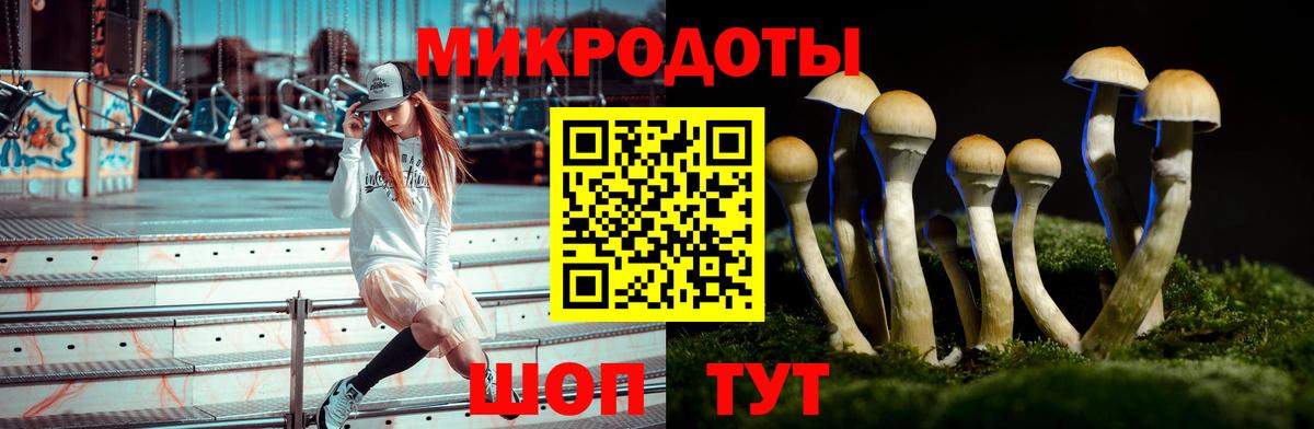 Бутират Родники