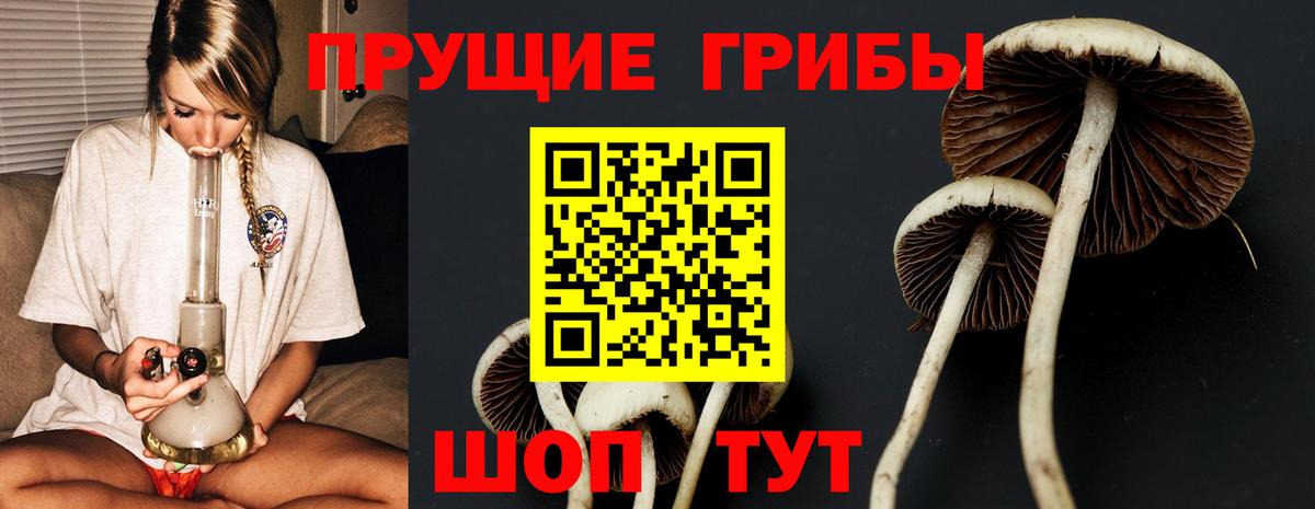Псилоцибиновые грибы MAGIC MUSHROOMS  Вход с VPN  Родники 